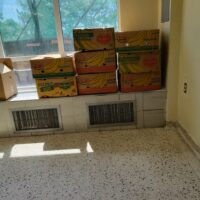 Food Distribution Mornelle 2020